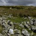 <b>Mynydd Du Settlement, Carnedd Dafydd</b>Posted by thesweetcheat