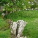 <b>Grange / Lios, Lough Gur</b>Posted by Nucleus
