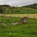 <b>Ballymeanoch Cairn</b>Posted by Nucleus