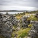 <b>Sallachy Broch</b>Posted by A R Cane