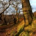 <b>Mynydd-y-Castell</b>Posted by GLADMAN