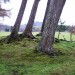 <b>Newtonmore</b>Posted by drewbhoy