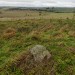 <b>Harestone Down Stone Circle</b>Posted by thesweetcheat