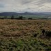 <b>Roseberry Topping</b>Posted by spencer