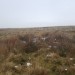<b>Pikestones Cairn</b>Posted by juamei