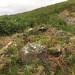 <b>Coumeraglinmountain Megalithic Tomb (unclassified)</b>Posted by ryaner