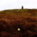 <b>Beacon Hill</b>Posted by GLADMAN