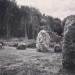 <b>The Nine Stones of Winterbourne Abbas</b>Posted by texlahoma