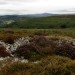 <b>Graig-ddu, Black Mountains</b>Posted by thesweetcheat