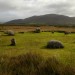 <b>Machrie Moor</b>Posted by thesweetcheat
