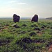 <b>Greycroft Stone Circle</b>Posted by moey