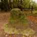 <b>Triscombe Stone</b>Posted by thesweetcheat