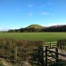 <b>Freebrough Hill</b>Posted by spencer