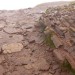 <b>Pen-y-Fan</b>Posted by thelonious