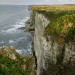 <b>Bempton Cliffs</b>Posted by spencer