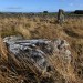 <b>Doddington Stone Circle</b>Posted by thesweetcheat