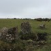 <b>Sherberton Stone Circle</b>Posted by postman