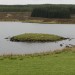 <b>Loch Borralan Crannog</b>Posted by thelonious