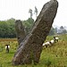 <b>Harold's Stones</b>Posted by Jane