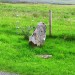 <b>Borve (Isle of Skye)</b>Posted by drewbhoy
