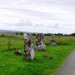 <b>Borve (Isle of Skye)</b>Posted by drewbhoy