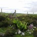<b>Kensalyre Cairn</b>Posted by drewbhoy