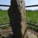 <b>Wergins Stone</b>Posted by thesweetcheat