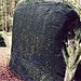 <b>Druids Seat Stone Circle</b>Posted by Ian Murray