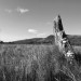 <b>Lochbuie Standing Stone</b>Posted by texlahoma