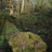 <b>Rempstone Stone Circle</b>Posted by postman