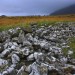 <b>Hafotty-Fach Cairns</b>Posted by GLADMAN