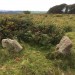<b>Burford Down cairn and cist</b>Posted by markj99