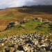 <b>Rippon Tor</b>Posted by GLADMAN