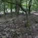 <b>Withington Long Barrow</b>Posted by thesweetcheat