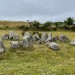 <b>Ossian's Grave</b>Posted by ryaner