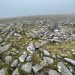 <b>Mount Leinster</b>Posted by ryaner
