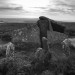 <b>Zennor Quoit</b>Posted by texlahoma