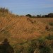<b>Mill Mound, Tolleshunt Major</b>Posted by GLADMAN