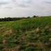 <b>Mill Mound, Salcott-cum-Virley</b>Posted by GLADMAN
