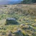 <b>Cnoc A Moine (nr Beauly)</b>Posted by drewbhoy