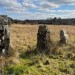 <b>Montiaghroe - Stone Row West</b>Posted by ryaner
