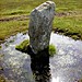 <b>Trippet Stones</b>Posted by Hob