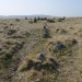 <b>Ringmoor Cairn Circle and Stone Row</b>Posted by costaexpress