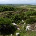 <b>Chapel Carn Brea North</b>Posted by thesweetcheat