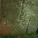 <b>Long Meg & Her Daughters</b>Posted by Chris Collyer