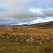 <b>Cefn Clawdd Settlement, Y Rhinogydd</b>Posted by GLADMAN