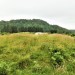 <b>Dalnaneun Farm, Loch Nell</b>Posted by drewbhoy