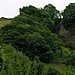 <b>Castle Hill (Castleton)</b>Posted by davidtic