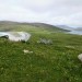 <b>Vatersay</b>Posted by drewbhoy