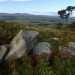 <b>Old Bewick Cairn</b>Posted by thesweetcheat